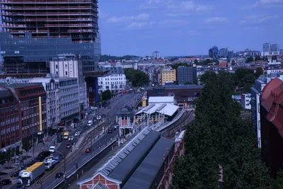 DSC_1751 (Large).JPG